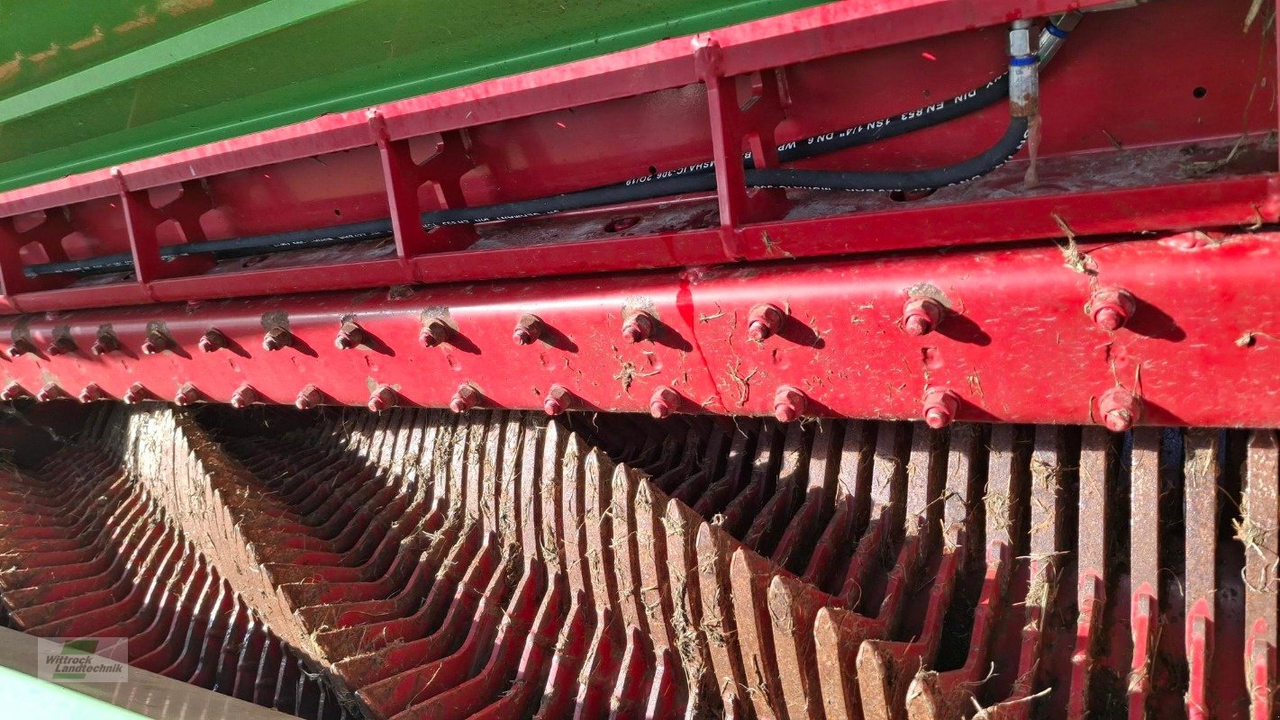 Silierwagen des Typs Strautmann Tera-Vitesse 4201, Gebrauchtmaschine in Rhede / Brual (Bild 9)