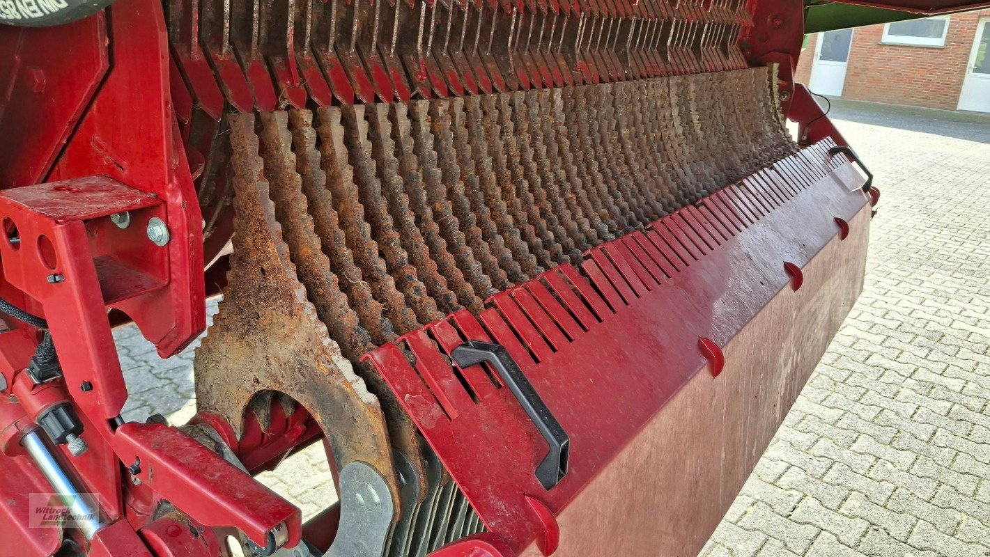 Silierwagen des Typs Strautmann Tera-Vitesse 4201, Gebrauchtmaschine in Rhede / Brual (Bild 14)