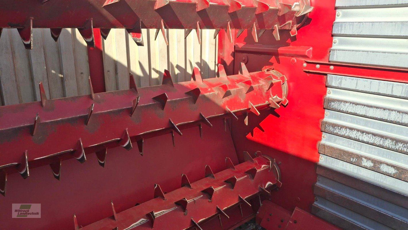 Silierwagen des Typs Strautmann Tera-Vitesse 4201, Gebrauchtmaschine in Rhede / Brual (Bild 2)