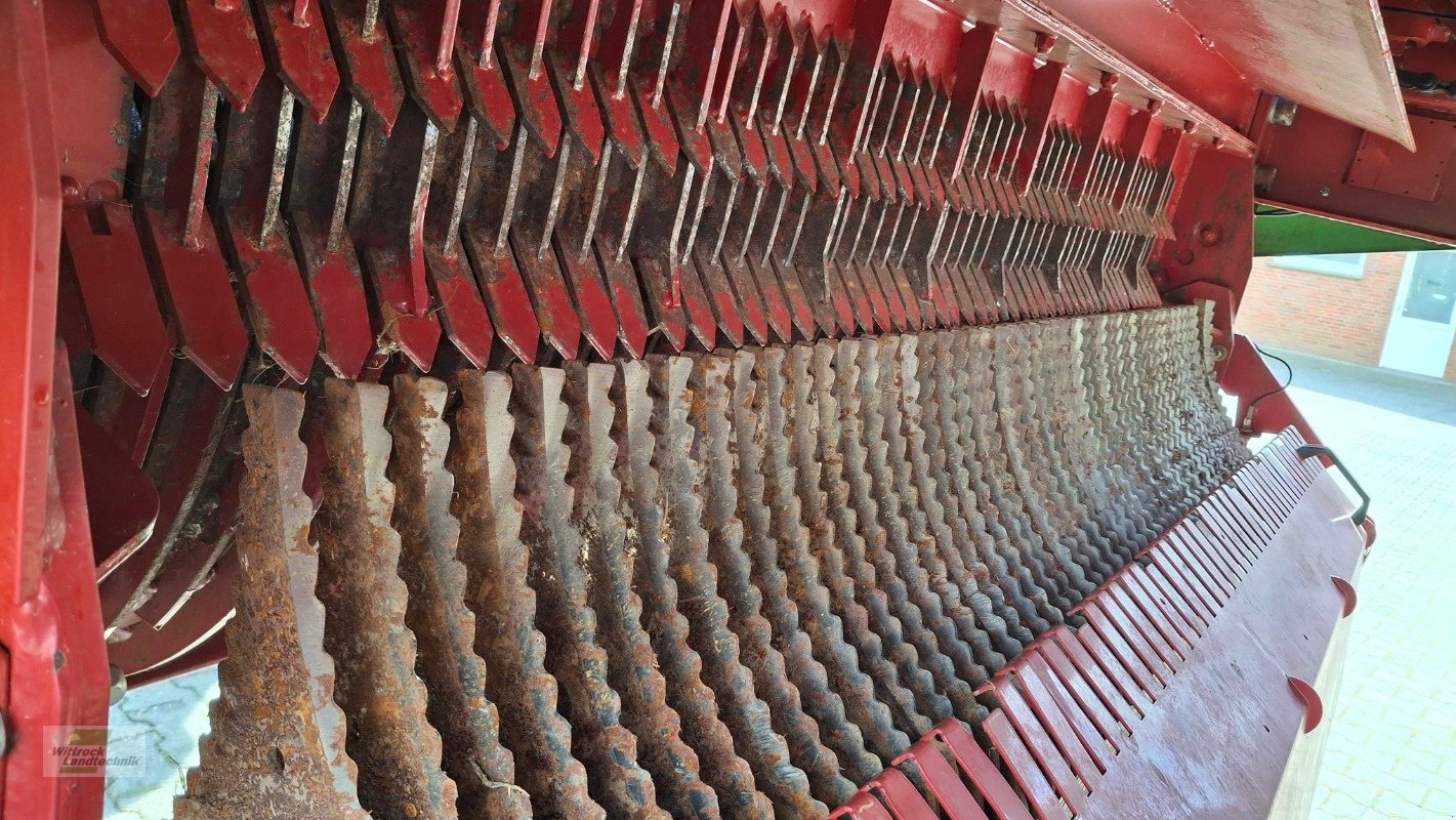 Silierwagen des Typs Strautmann Tera-Vitesse 4201, Gebrauchtmaschine in Rhede / Brual (Bild 13)