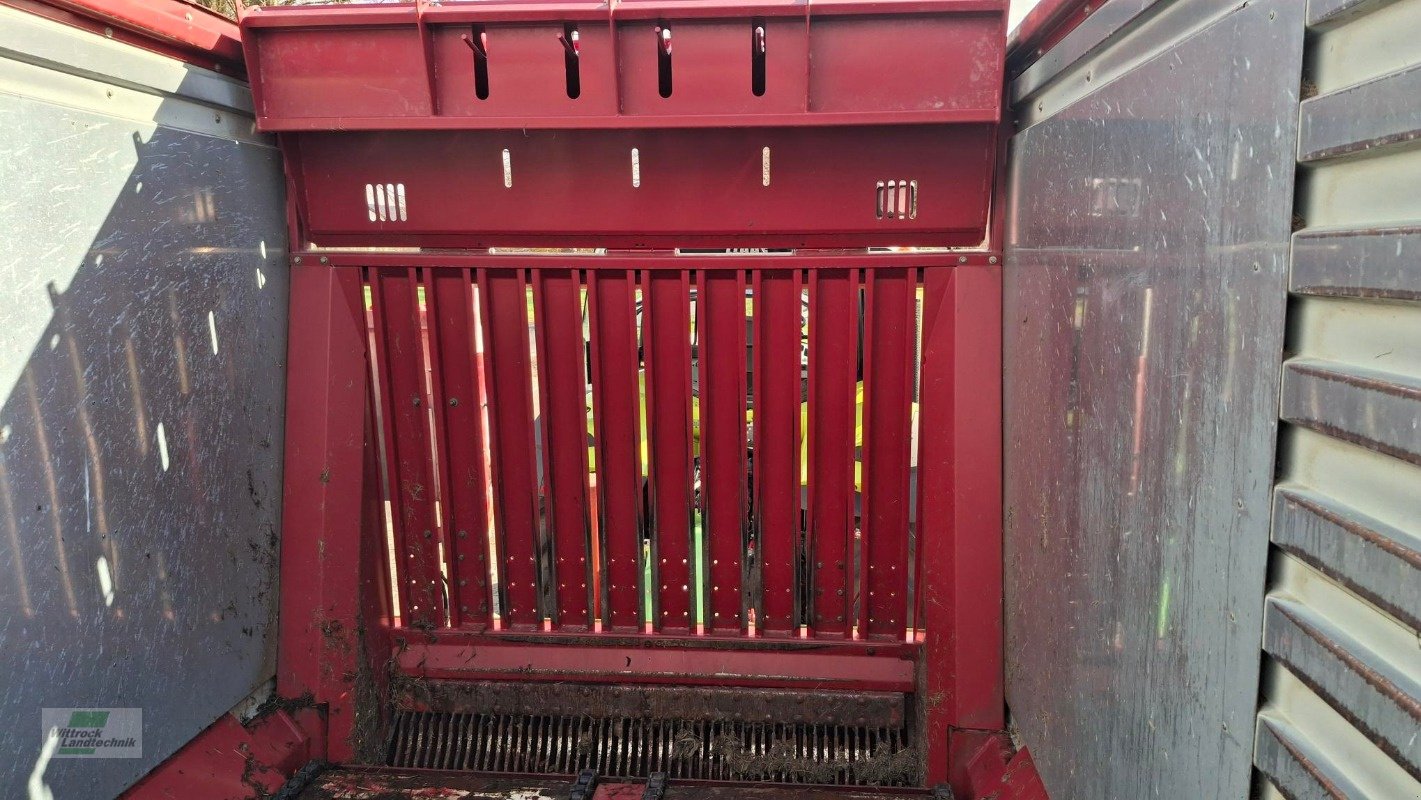 Silierwagen des Typs Strautmann Tera-Vitesse 4201, Gebrauchtmaschine in Rhede / Brual (Bild 5)