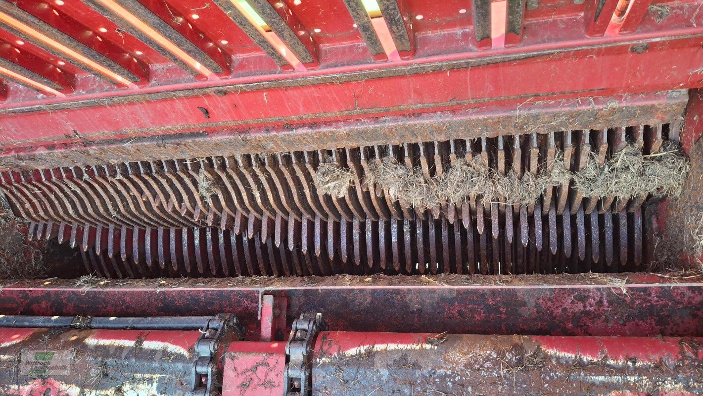 Silierwagen des Typs Strautmann Tera-Vitesse 4201, Gebrauchtmaschine in Rhede / Brual (Bild 4)