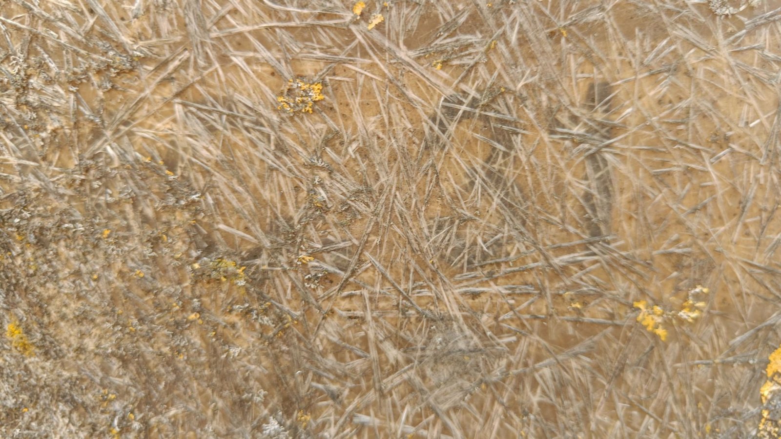 Silo tipa Sonstige 31 Glasfibersilo 31m3, Gebrauchtmaschine u Egtved (Slika 7)