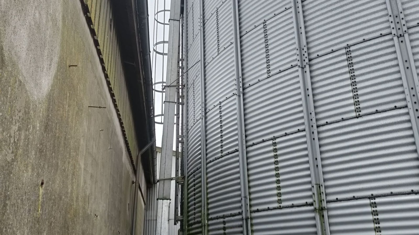 Silo tipa Sonstige Dancorn Sukup 1.000 tons, Gebrauchtmaschine u Egtved (Slika 5)