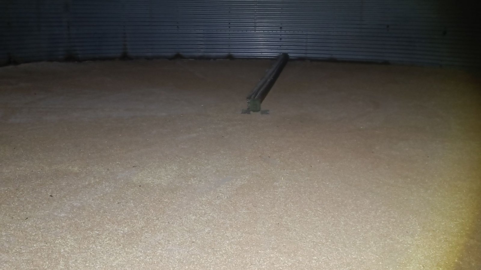 Silo tipa Sonstige Dancorn Sukup 1.000 tons, Gebrauchtmaschine u Egtved (Slika 13)