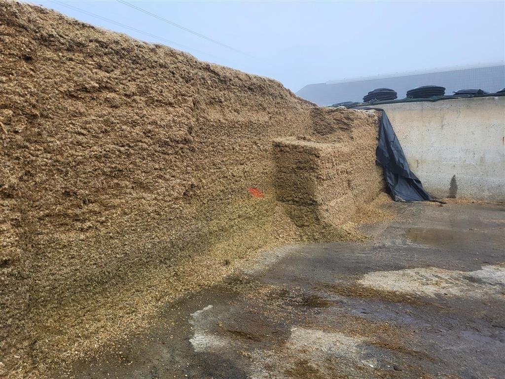 Siloentnahmegerät & Verteilgerät типа AP AP Blokskærere 1600 DB, Gebrauchtmaschine в Solrød Strand (Фотография 4)