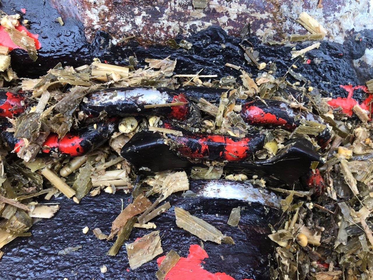 Siloentnahmegerät & Verteilgerät of the type Kuhn Altor 6070, Gebrauchtmaschine in Brabant-le-Roi (Picture 10)