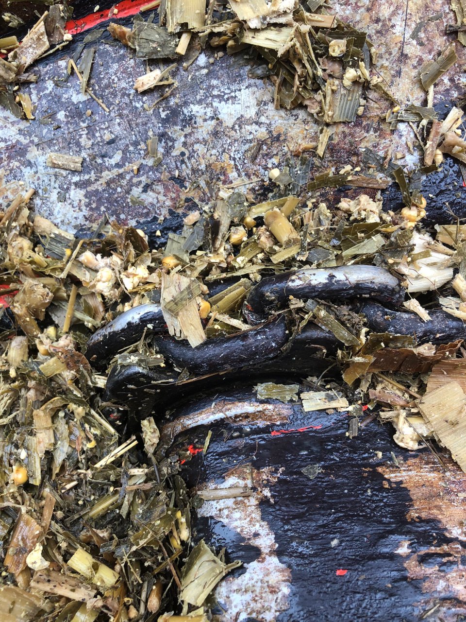 Siloentnahmegerät & Verteilgerät of the type Kuhn Altor 6070, Gebrauchtmaschine in Brabant-le-Roi (Picture 11)