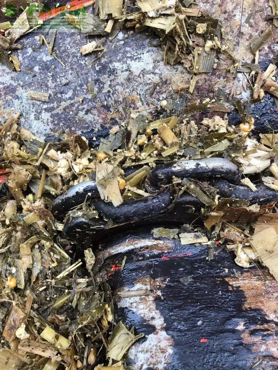 Siloentnahmegerät & Verteilgerät of the type Kuhn altor 6070, Gebrauchtmaschine in CHAUVONCOURT (Picture 11)