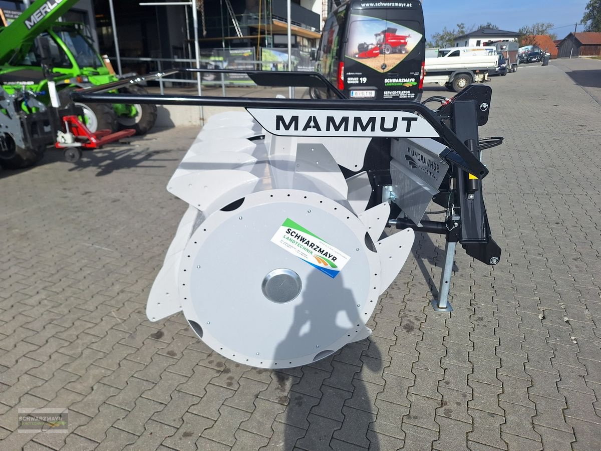 Siloentnahmegerät & Verteilgerät des Typs Mammut SF 230 Gigant F-H Edition, Neumaschine in Aurolzmünster (Bild 3)