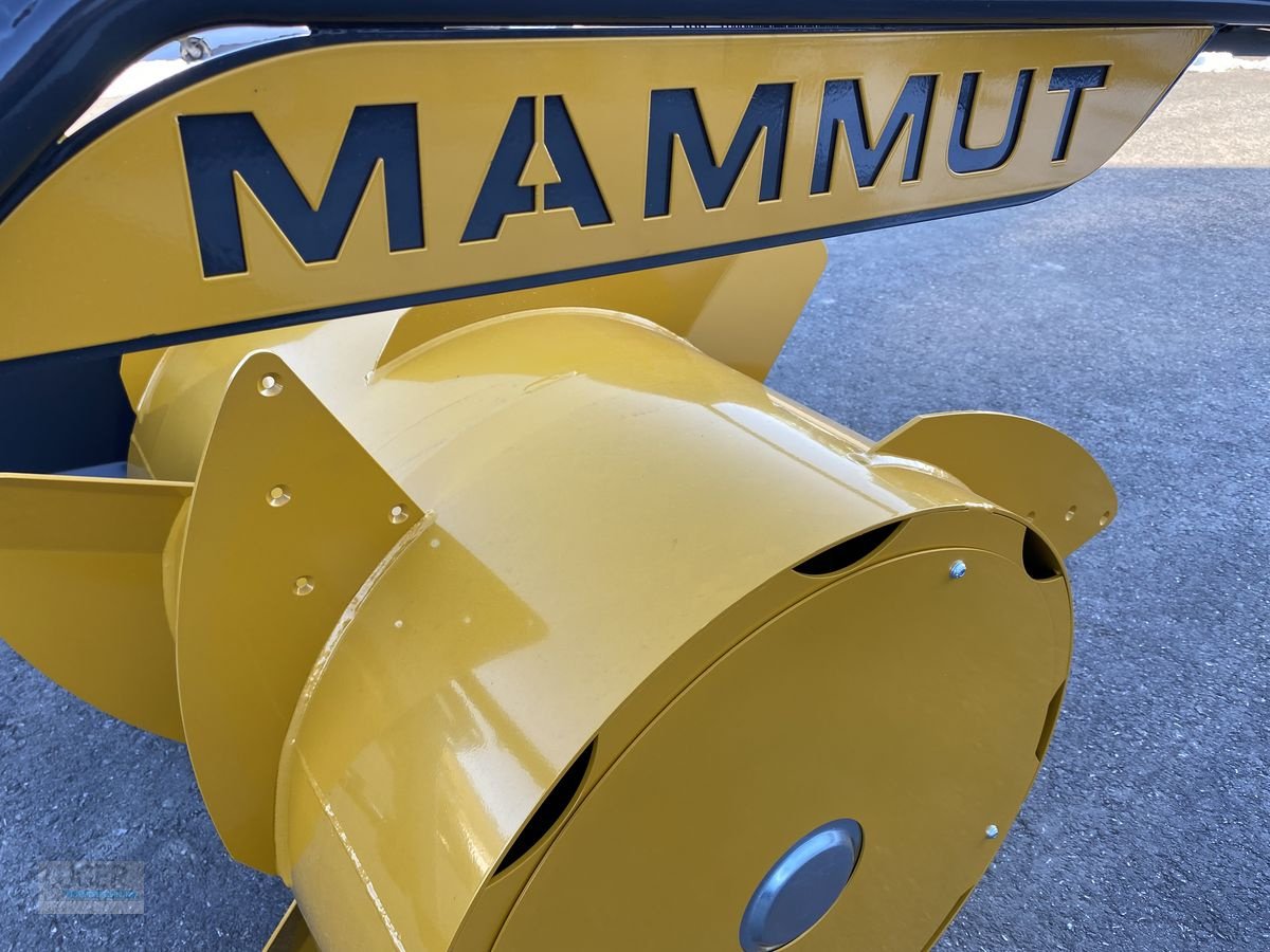 Siloentnahmegerät & Verteilgerät des Typs Mammut Siloverteiler SF 205 Titan, Neumaschine in Niederkappel (Bild 4)