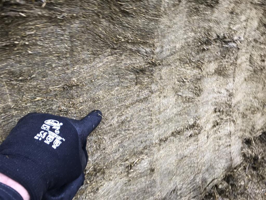 Siloentnahmegerät & Verteilgerät typu Sonstige ACJ ProDig "Heavy Duty" Blokskæreforke, Gebrauchtmaschine v Løgumkloster (Obrázek 5)