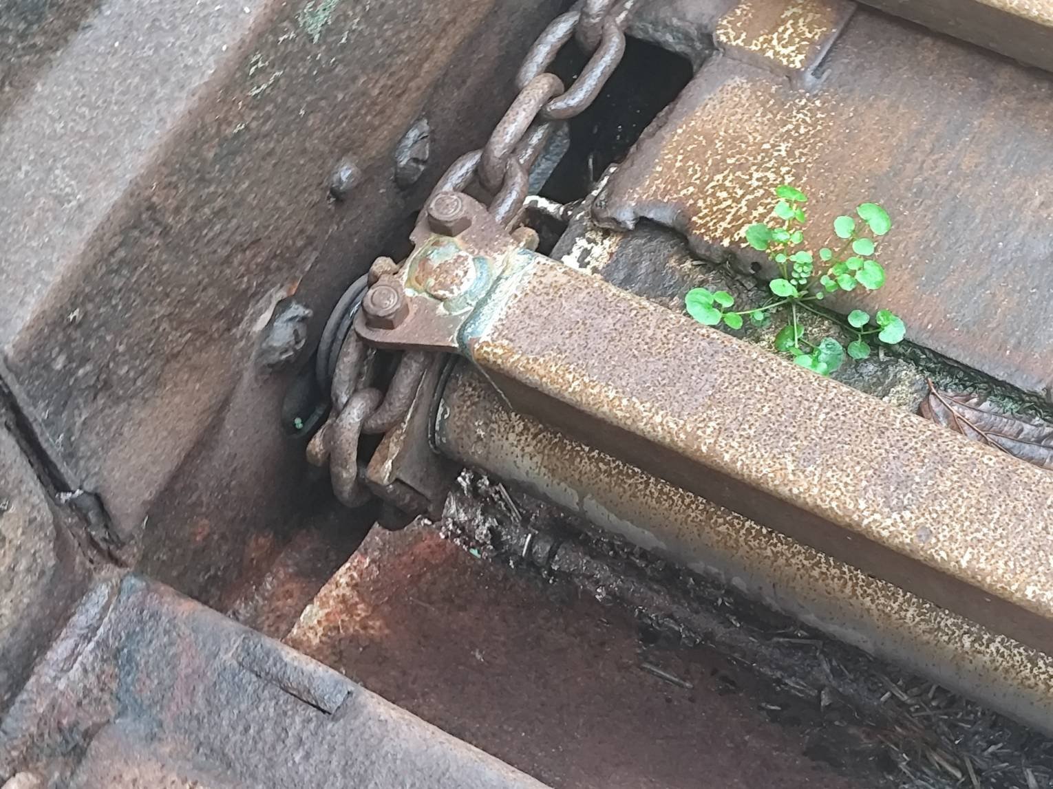 Siloentnahmegerät & Verteilgerät типа Sonstige ALIZE FORCE 2, Gebrauchtmaschine в Le Horps (Фотография 5)