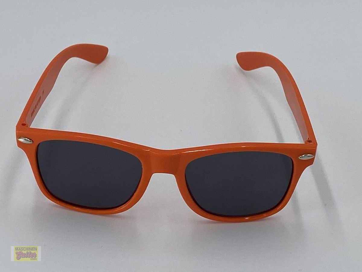 Siloentnahmegerät & Verteilgerät of the type Sonstige Maschinen-Gailer Sonnenbrille, Gebrauchtmaschine in Kötschach (Picture 1)
