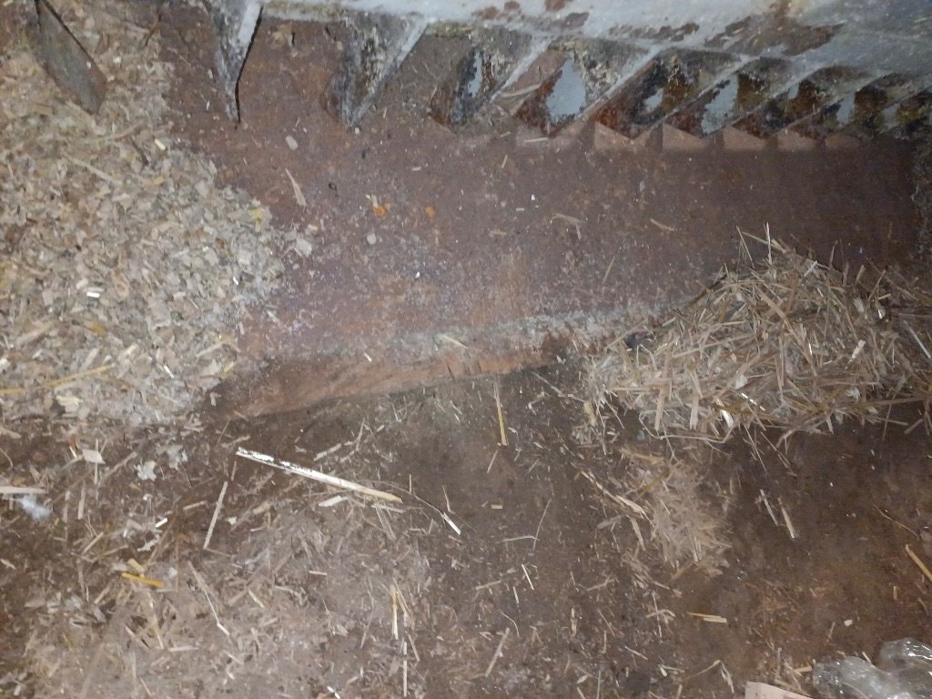 Siloentnahmegerät & Verteilgerät del tipo Sonstige P19, Gebrauchtmaschine In COGNAC LA FORET (Immagine 4)