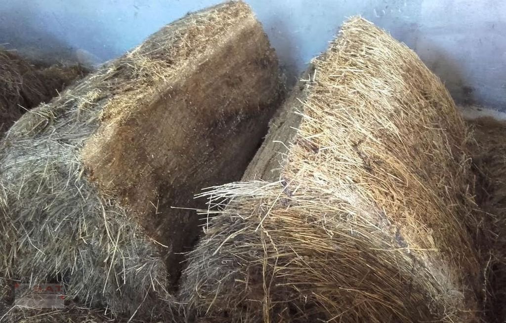 Siloentnahmegerät & Verteilgerät typu Sonstige SAT-Kombisilagezange-Rundballenschneider, Vorführmaschine v Eberschwang (Obrázek 18)