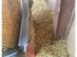 Siloentnahmegerät & Verteilgerät des Typs Suire DM, Gebrauchtmaschine in ROYE (Bild 11)
