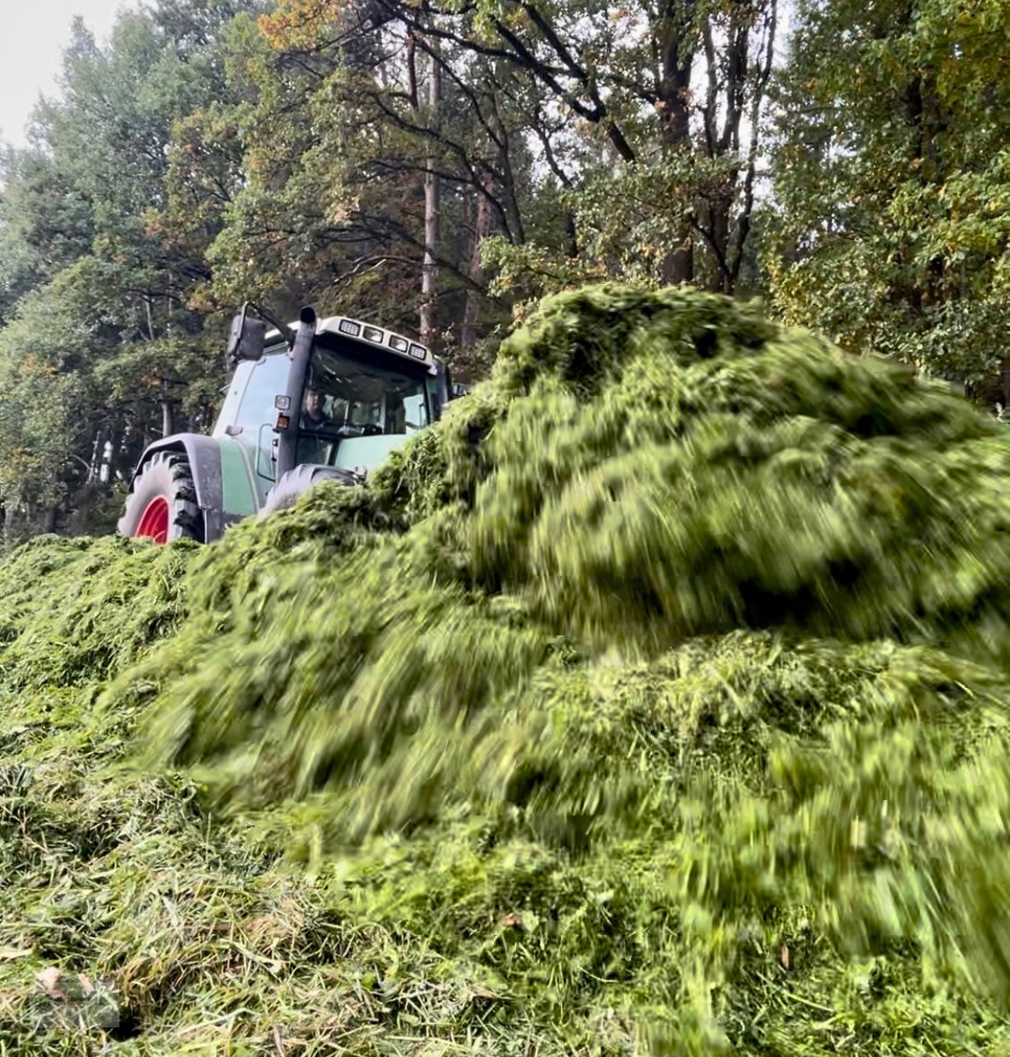 Siloverteiler des Typs Sonstige Hellwagner Seidl RV 225 Rotorverteiler Siloverteiler Maisschild GPS Schild Schiebeschild Grasverteiler Maisverteiler, Neumaschine in Kötzting (Bild 9)