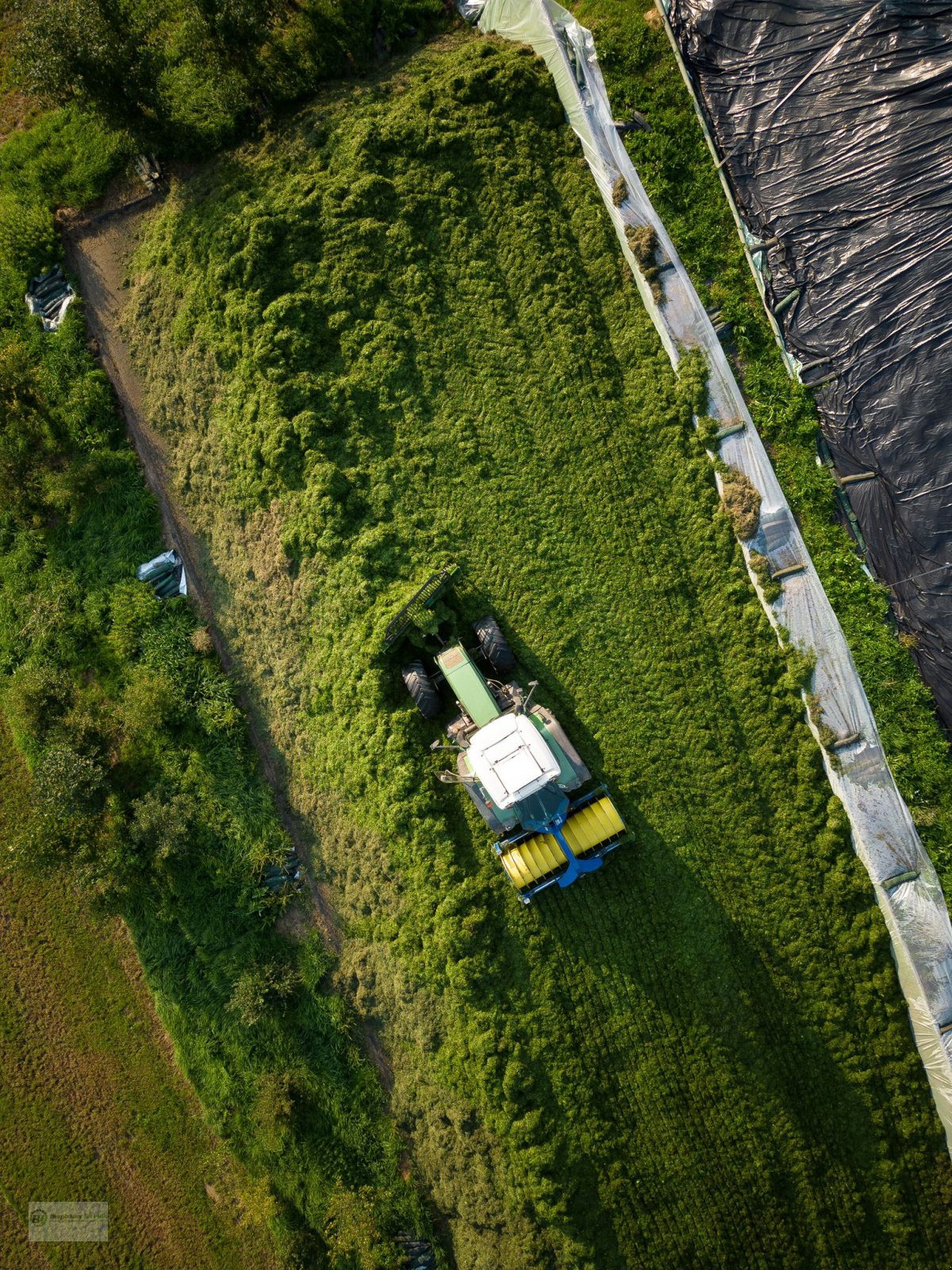 Siloverteiler des Typs Sonstige Point Tec (Hellwagner) Rotorverteiler Siloverteiler Maisschild GPS Schiebeschild, Neumaschine in Kötzting (Bild 3)
