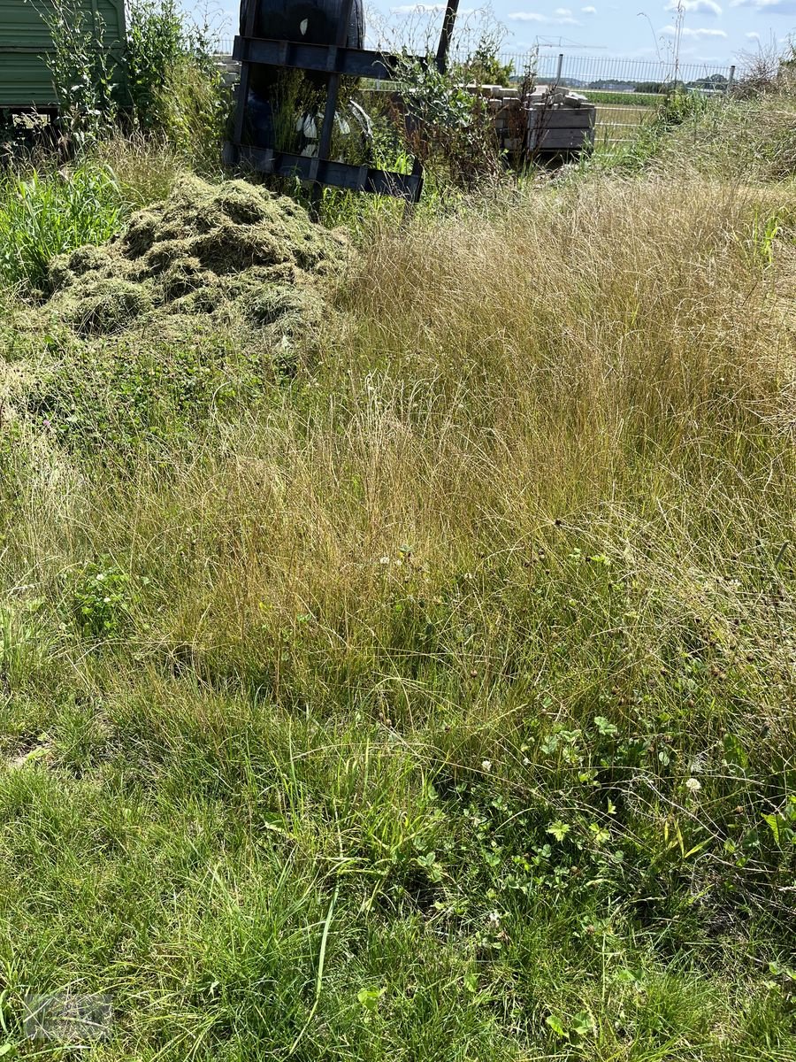 Sitzrasenmäher des Typs Amazone Profihopper 1500 Sammeln / Schlegeln / Sportplat, Neumaschine in Burgkirchen (Bild 11)