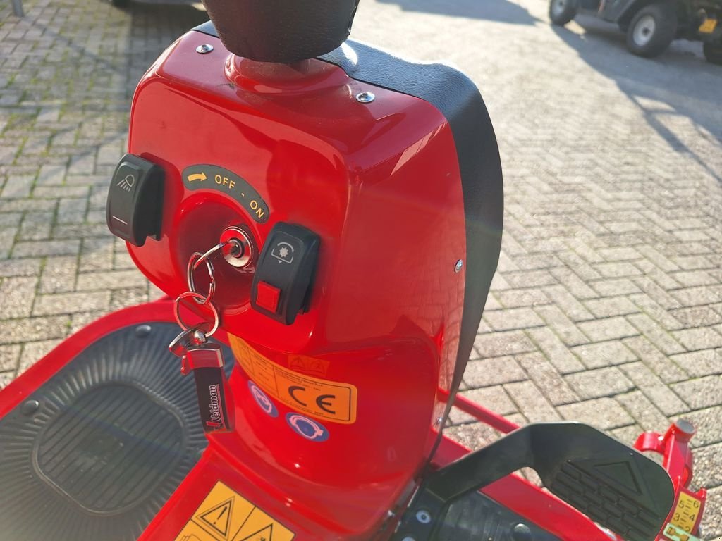 Sitzrasenmäher des Typs Gianni Ferrari GTR 200, Gebrauchtmaschine in MARIENHEEM (Bild 10)