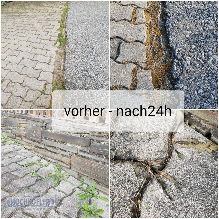 Sitzrasenmäher van het type Sonstige Keckex Unkrautbekämpfung, Mietmaschine in Wies (Foto 8)