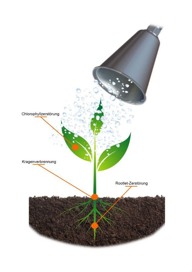 Sitzrasenmäher Türe ait Sonstige Oeliatec HOEDIC Unkrautbekämpfung Heißwasser, Neumaschine içinde Aigen-Schlägl (resim 16)
