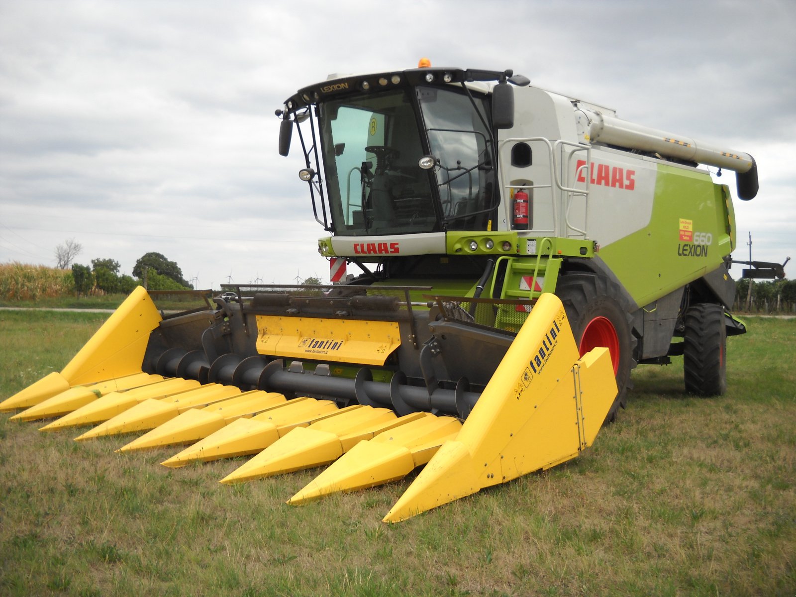 Sonnenblumenschneidwerk Türe ait Fantini G3 Sonnenblumenschneidwerk, Neumaschine içinde Gerasdorf (resim 8)