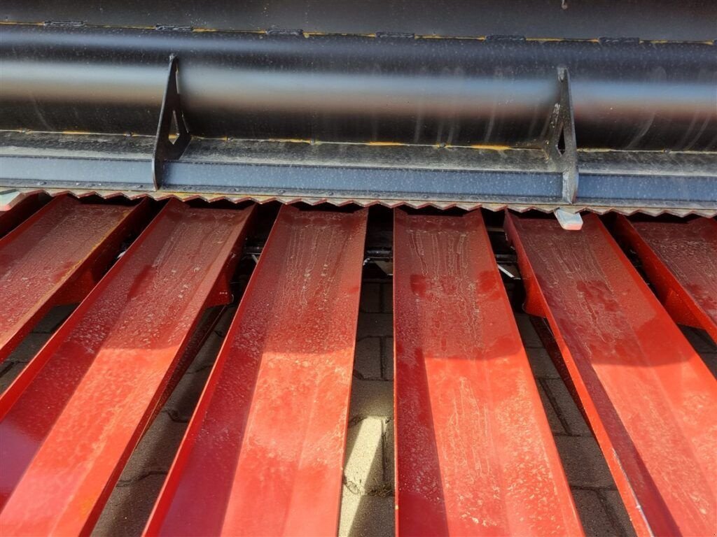 Sonnenblumenschneidwerk des Typs Lupus Sonnenblumenvorsatz / sunflower harvester, Neumaschine in Michałowo (Bild 4)