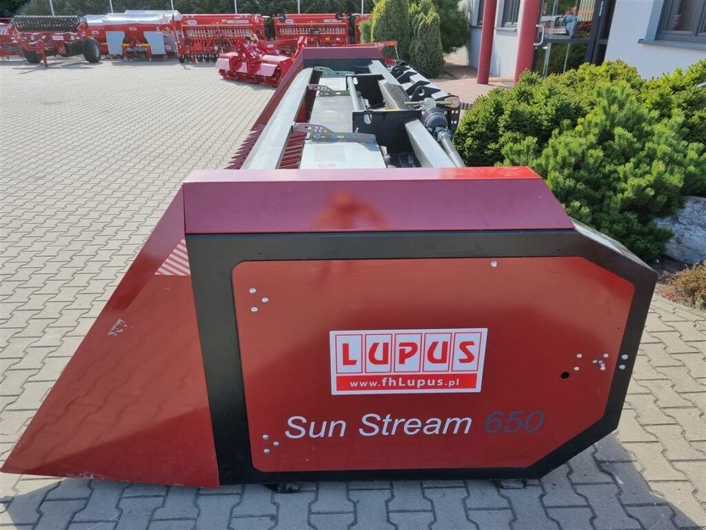 Sonnenblumenschneidwerk des Typs Lupus Sonnenblumenvorsatz / sunflower harvester, Neumaschine in Michałowo (Bild 3)