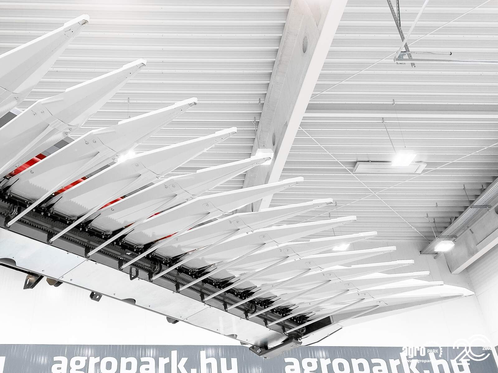 Sonnenblumenschneidwerk van het type SunSeed Xtra 12-75 UNUSED 9 m, 12 row (75 cm), row independent sunflower header (AGCO), Gebrauchtmaschine in Csengele (Foto 14)