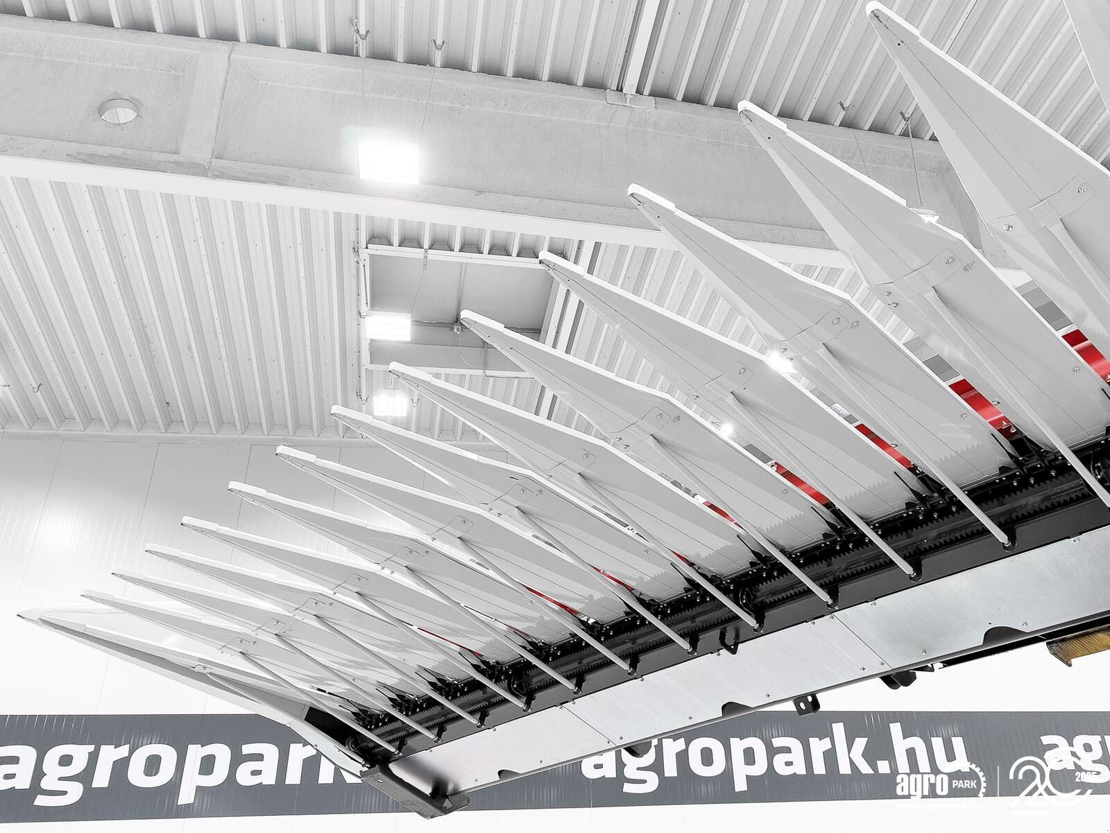 Sonnenblumenschneidwerk del tipo SunSeed Xtra 12-75, Gebrauchtmaschine en Csengele (Imagen 14)