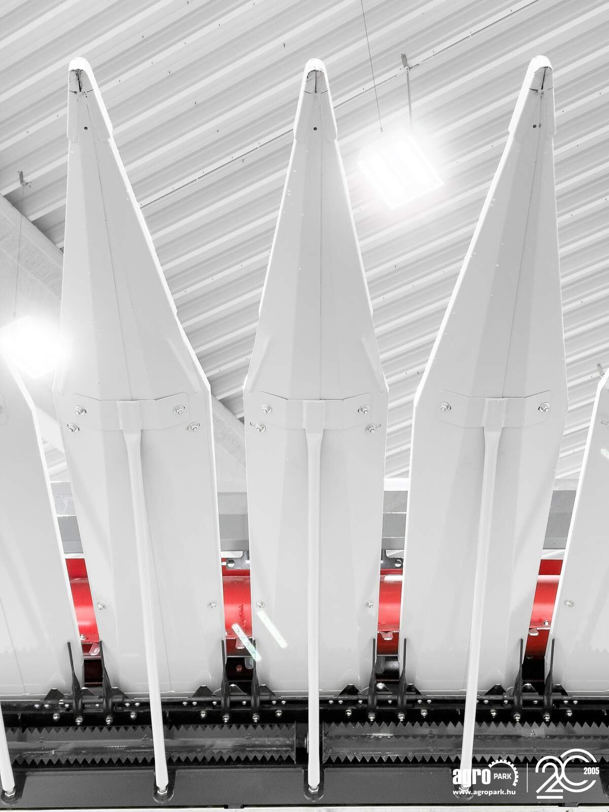 Sonnenblumenschneidwerk del tipo SunSeed Xtra 12-75, Gebrauchtmaschine en Csengele (Imagen 16)