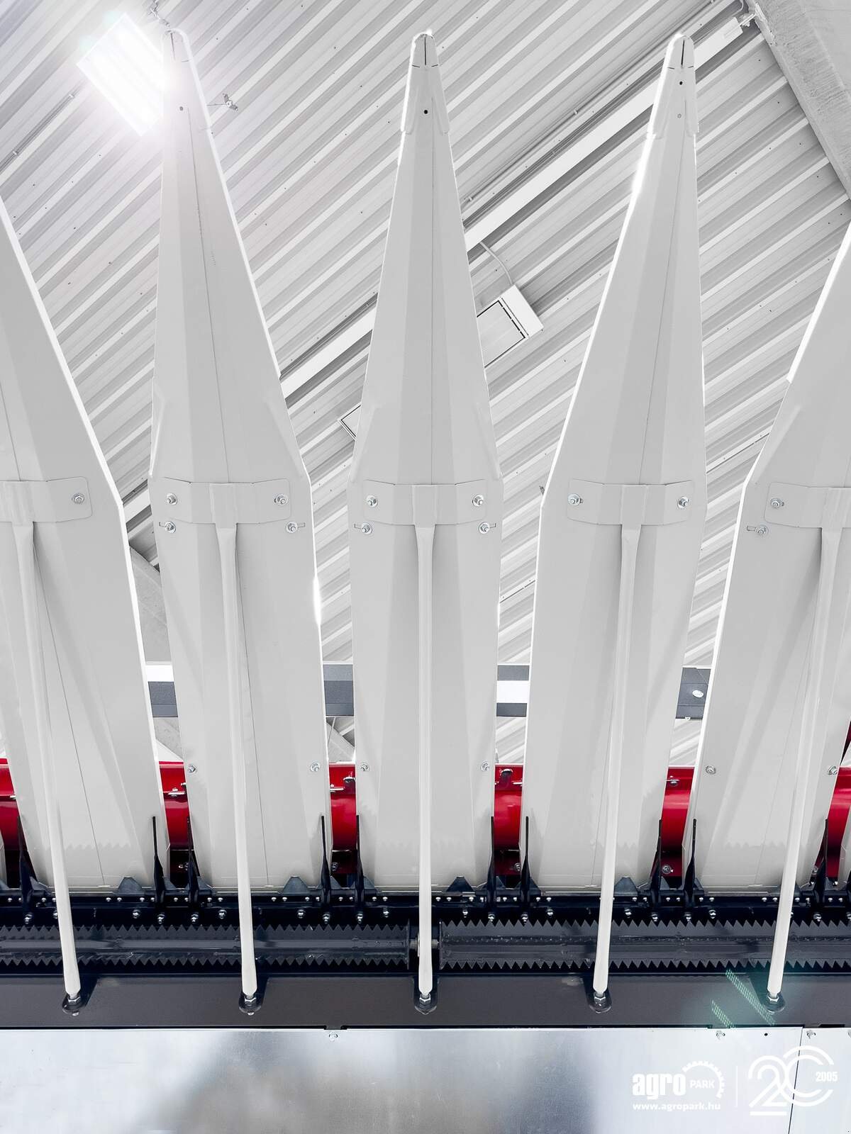 Sonnenblumenschneidwerk za tip SunSeed Xtra 8-75, Gebrauchtmaschine u Csengele (Slika 16)