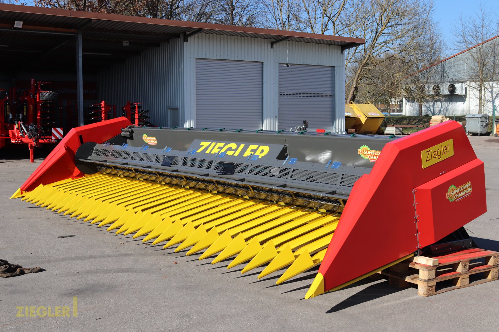 Sonnenblumenschneidwerk des Typs Ziegler Sunmaster Pro, Neumaschine in Pöttmes (Bild 1)