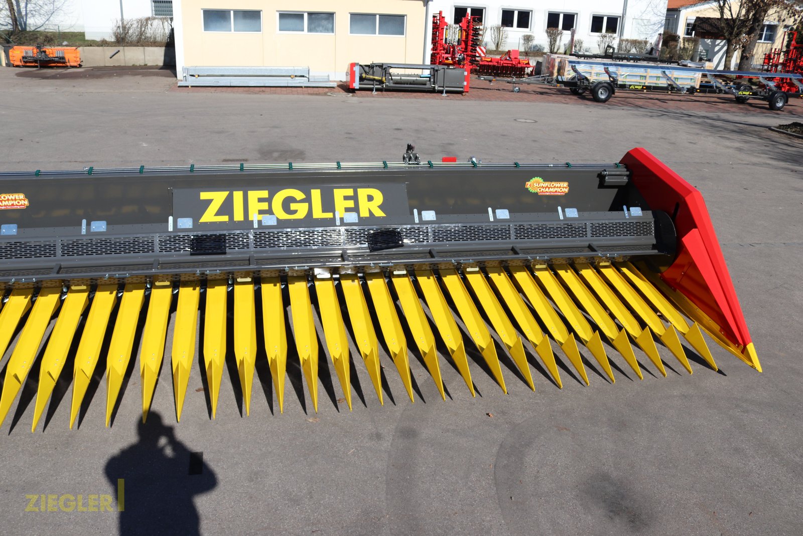 Sonnenblumenschneidwerk des Typs Ziegler Sunmaster Pro, Neumaschine in Pöttmes (Bild 14)