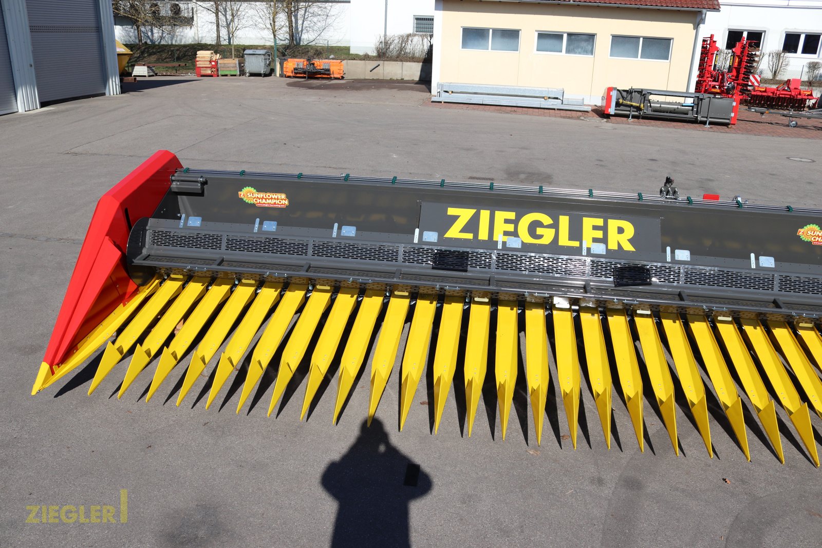 Sonnenblumenschneidwerk des Typs Ziegler Sunmaster Pro, Neumaschine in Pöttmes (Bild 15)