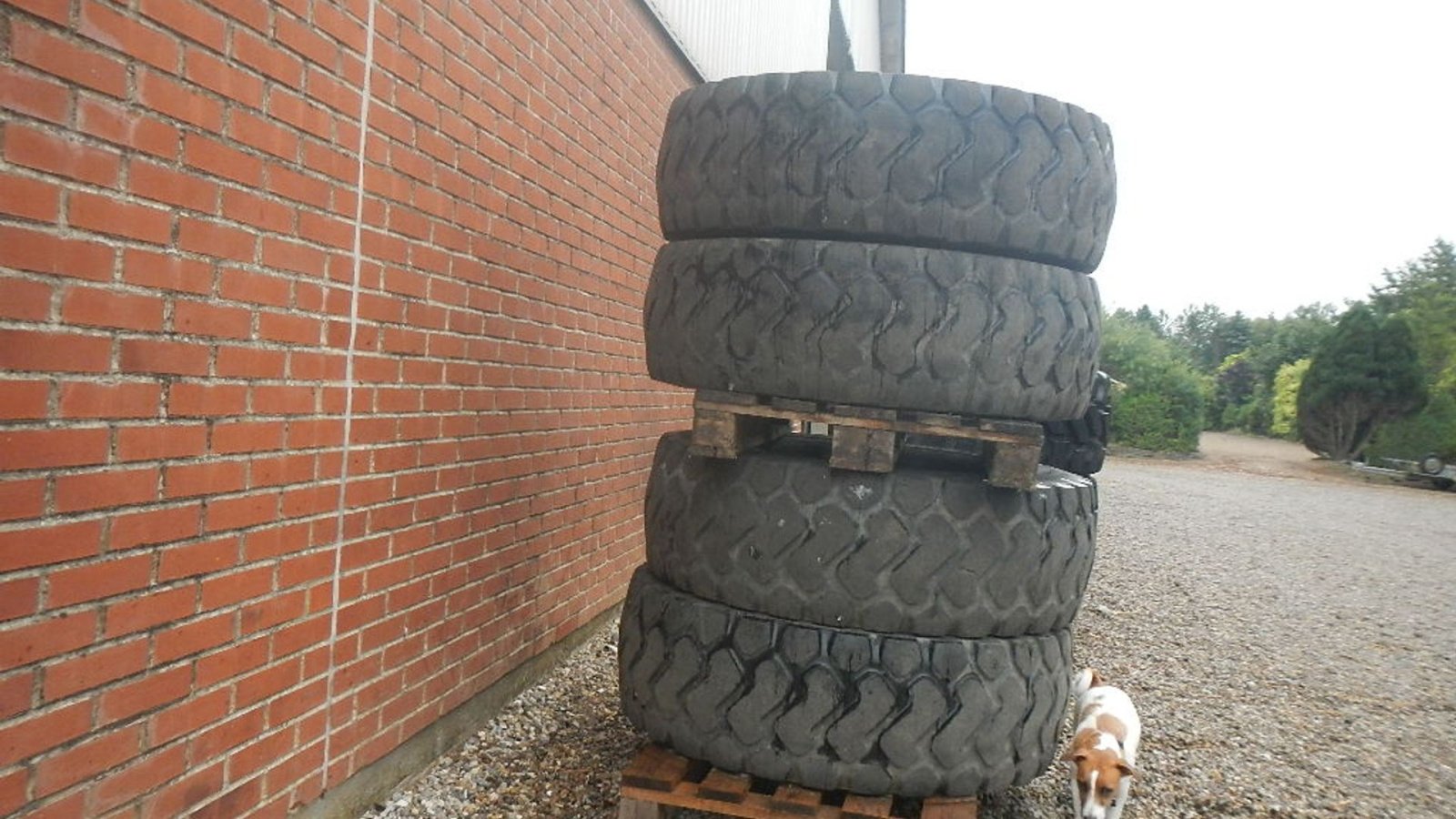 Sonstige Bagger & Lader typu GoodYear 17.5R25, Gebrauchtmaschine v Aabenraa (Obrázek 4)