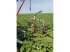 Sonstige Beregnungstechnik typu Irrifrance 110TTI400RH, Gebrauchtmaschine v BRAY en Val (Obrázek 5)