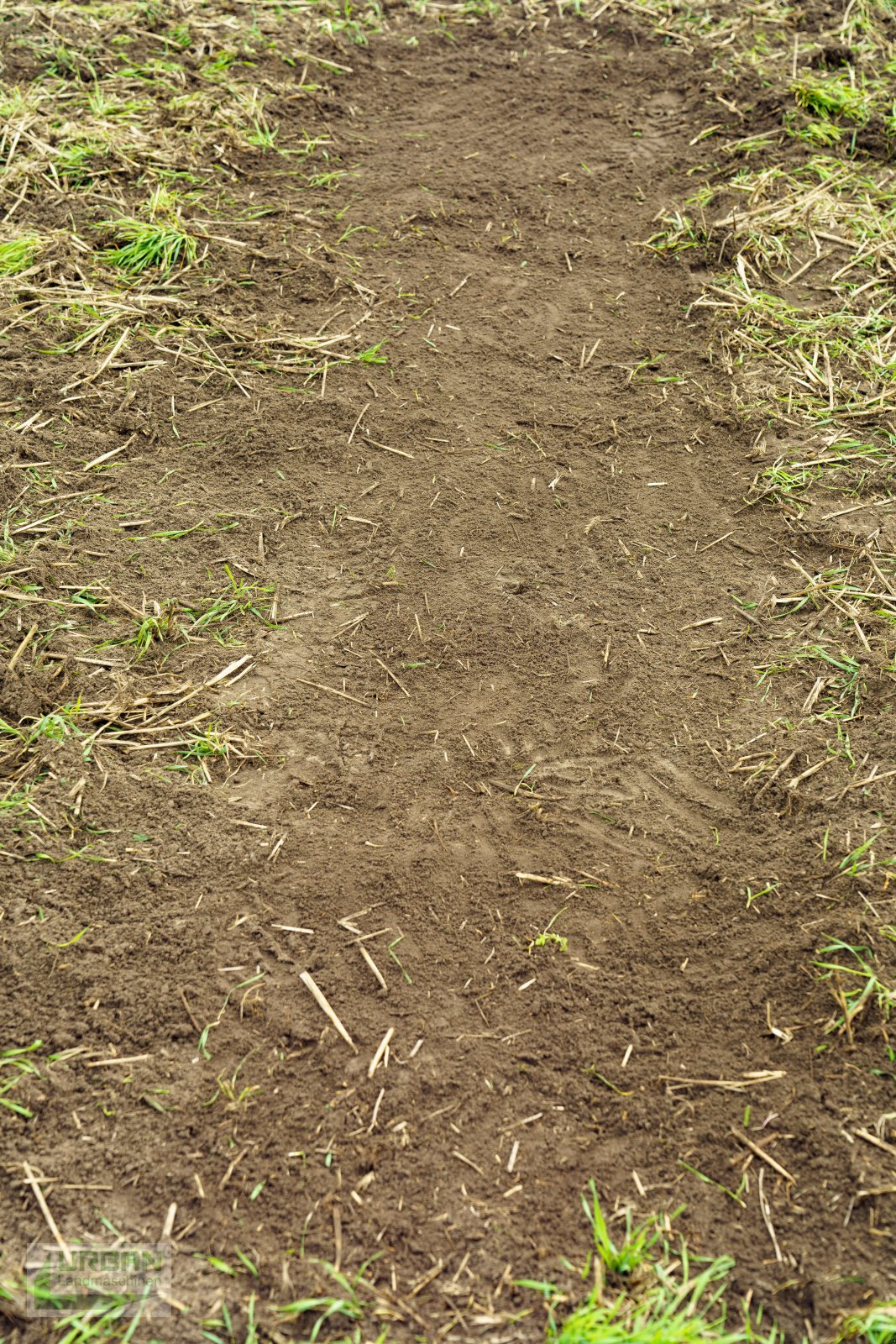 Sonstige Bodenbearbeitungsgeräte типа 4Disc ActiCut, Neumaschine в Rimbach (Фотография 2)