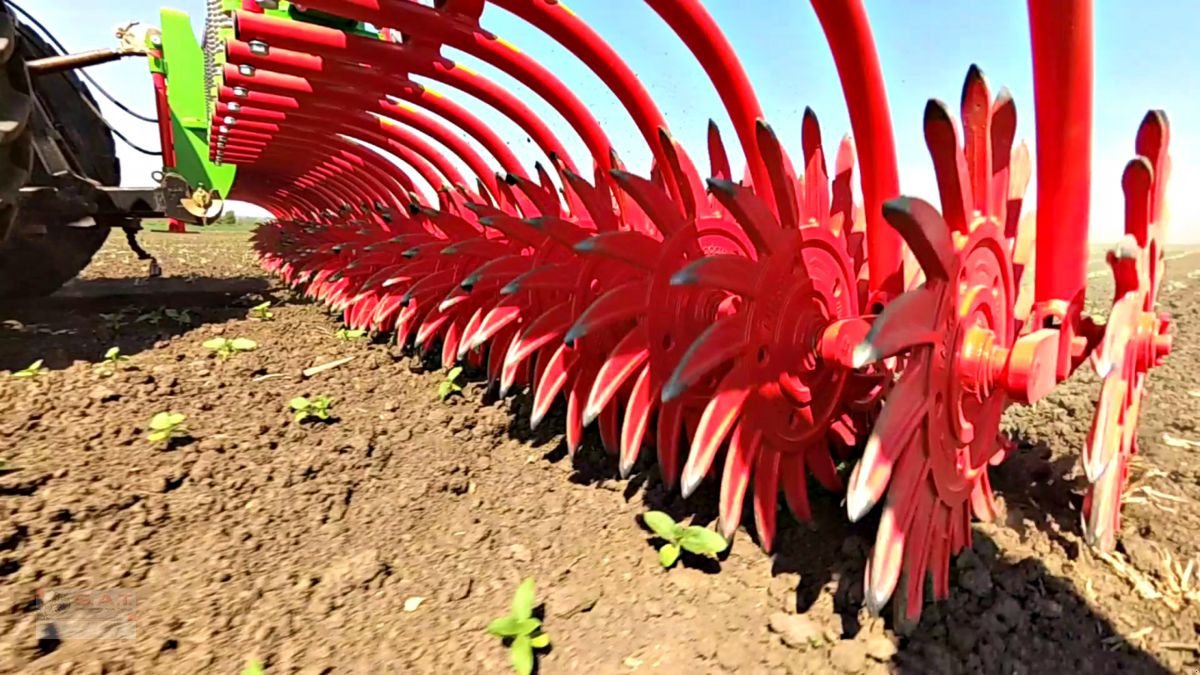 Sonstige Bodenbearbeitungsgeräte of the type Agrotika 300-Rotorhacke-Sternhacke-NEU, Neumaschine in Eberschwang (Picture 4)