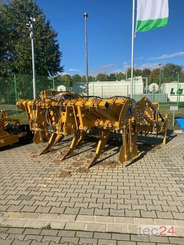Sonstige Bodenbearbeitungsgeräte typu Alpego S2 300, Vorführmaschine w Gundersheim (Zdjęcie 1)