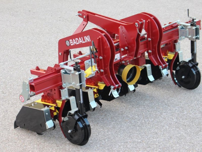 Sonstige Bodenbearbeitungsgeräte типа Badalini Reihenfräse CERES 4-reihig, Gebrauchtmaschine в Krenglbach (Фотография 1)