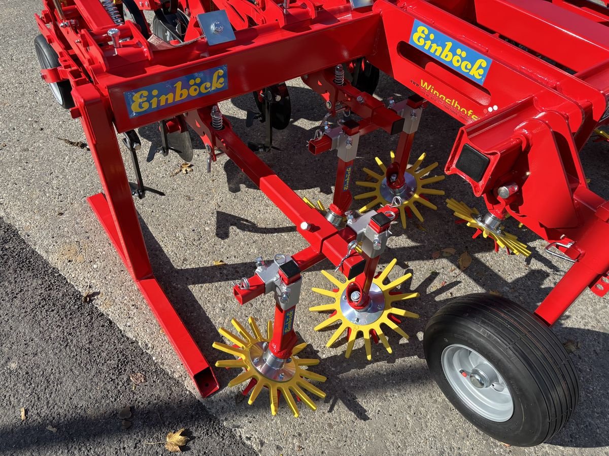 Sonstige Bodenbearbeitungsgeräte of the type Einböck Chopstar 3-60 6-reihig, Neumaschine in Starrein (Picture 12)