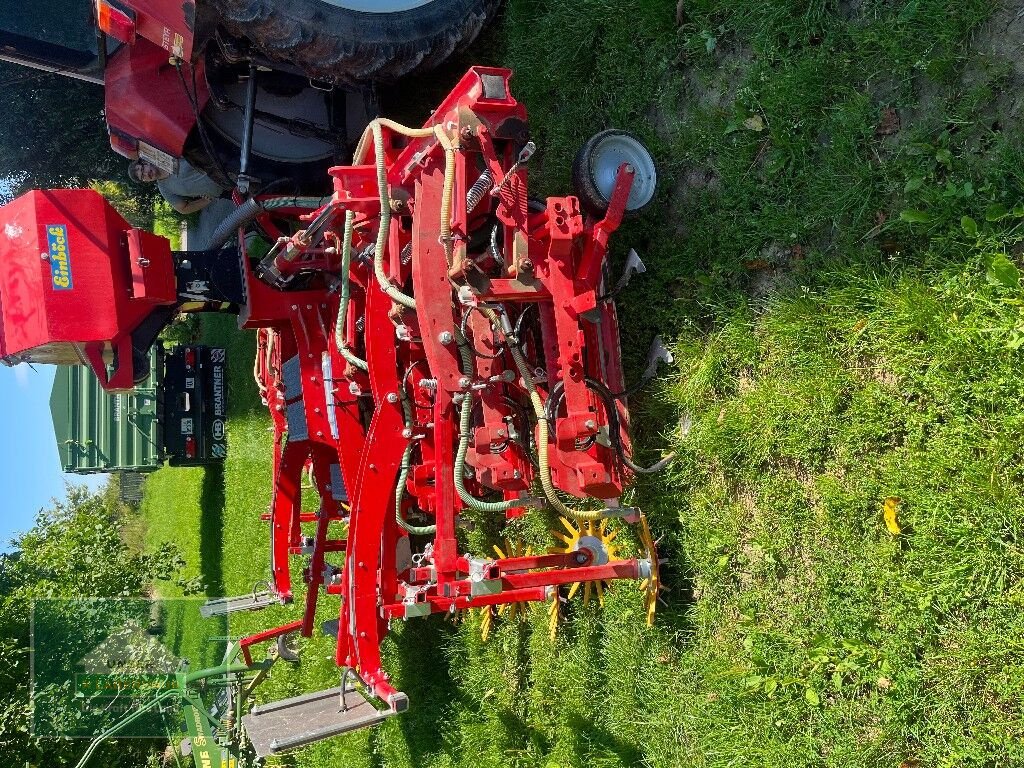 Sonstige Bodenbearbeitungsgeräte του τύπου Einböck Chopstar EMS 6Reihig, Gebrauchtmaschine σε Enns (Φωτογραφία 3)