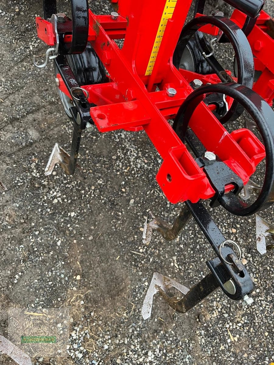 Sonstige Bodenbearbeitungsgeräte del tipo Einböck Chopstar ERS 6-Reihig 45cm + Row Guard 500, Gebrauchtmaschine In Hartberg (Immagine 4)