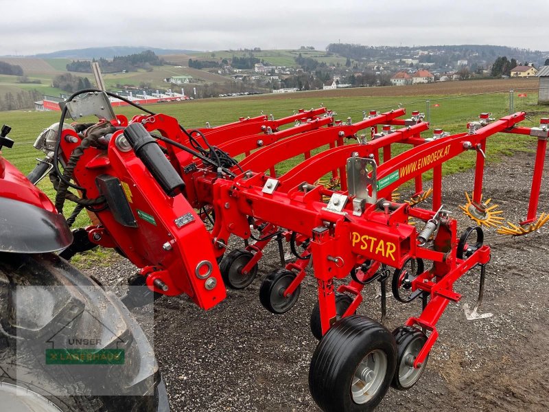 Sonstige Bodenbearbeitungsgeräte типа Einböck Chopstar ERS 6-Reihig 45cm + Row Guard 500, Gebrauchtmaschine в Hartberg