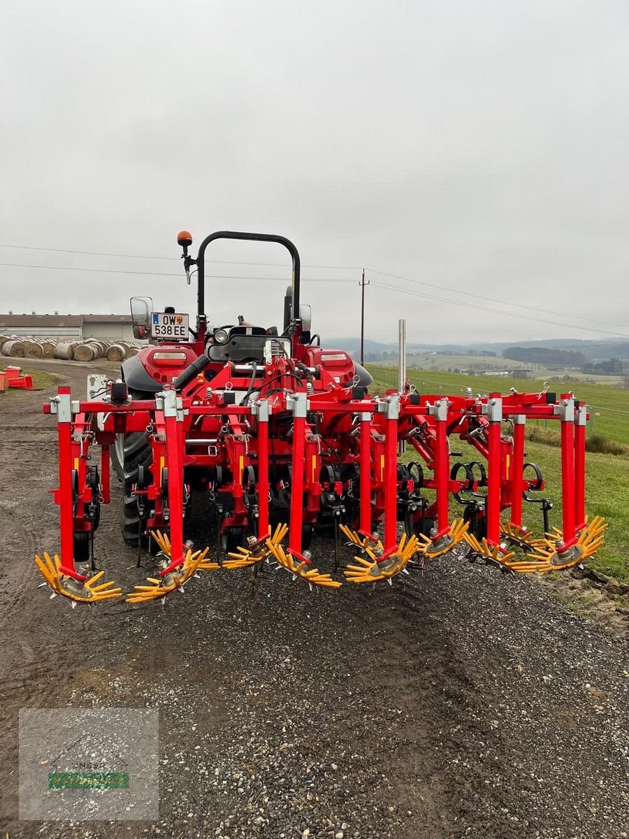 Sonstige Bodenbearbeitungsgeräte del tipo Einböck Chopstar ERS 6-Reihig 45cm + Row Guard 500, Gebrauchtmaschine In Hartberg (Immagine 10)