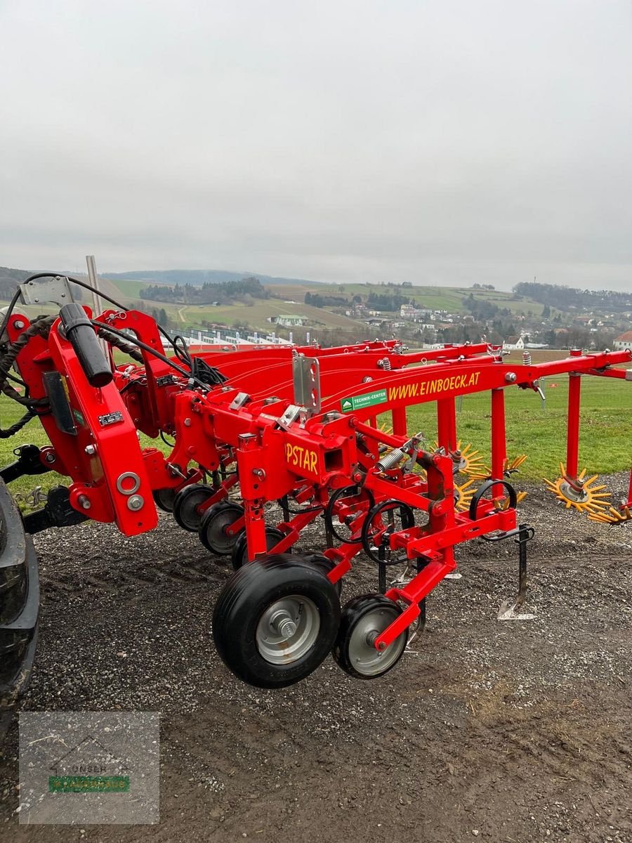 Sonstige Bodenbearbeitungsgeräte del tipo Einböck Chopstar ERS 6-Reihig 45cm + Row Guard 500, Gebrauchtmaschine In Hartberg (Immagine 8)