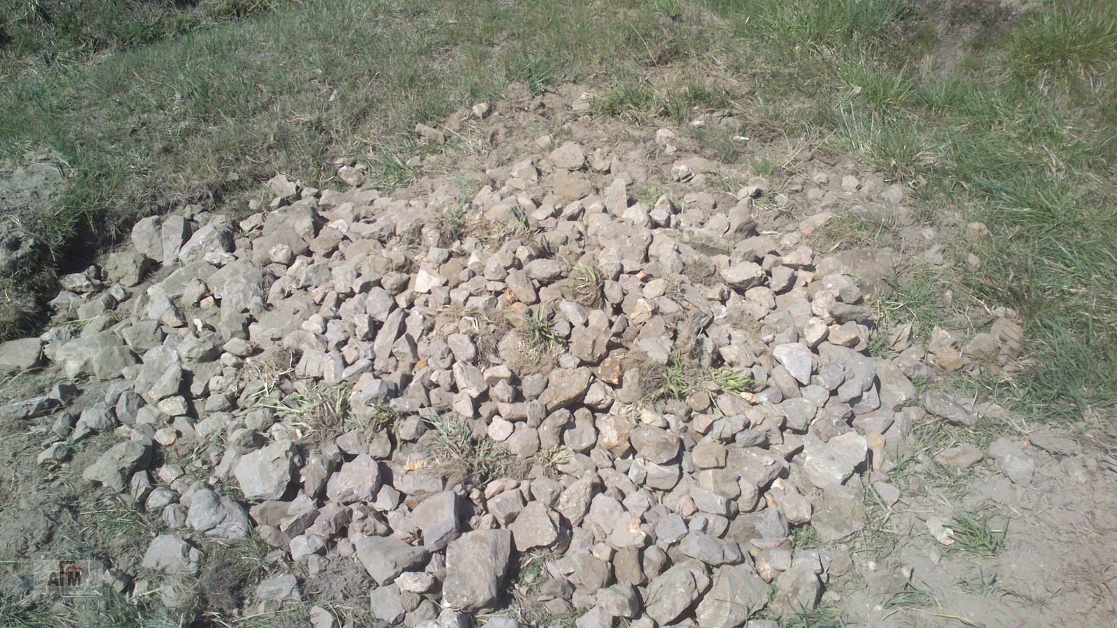 Sonstige Bodenbearbeitungsgeräte des Typs Elho Scorpio 550, Neumaschine in Bodenwöhr/ Taxöldern (Bild 5)